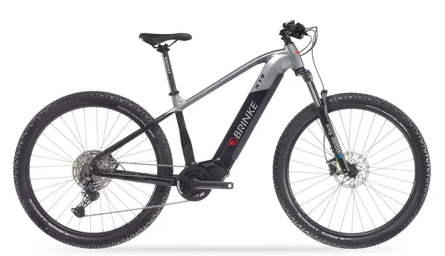 brinke-x1s-vtt-lectrique-e-mtb-batterie-int-gr-e-29x2-60 image 1