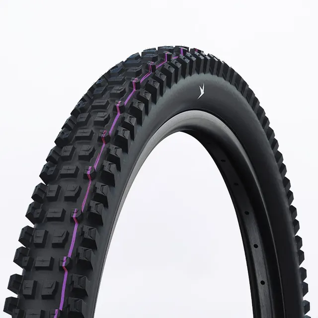 schwalbe-albert-gravity-pro-29x2-6-pneu-vtt-e-mtb-trail image 1