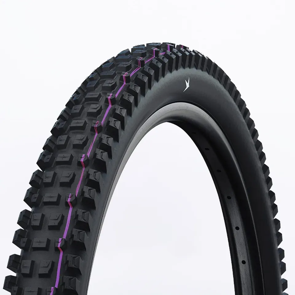 schwalbe-albert-gravity-pro-29x2-6-pneu-vtt-e-mtb-trail image 1